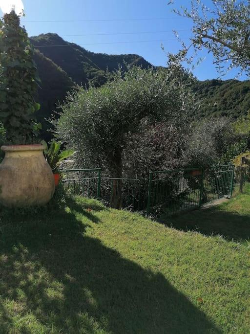 Villa Casa Andreina Salto Chiesa Esterno foto